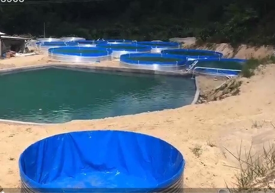 가연판 수족관 가연판 수족관 50000 리터