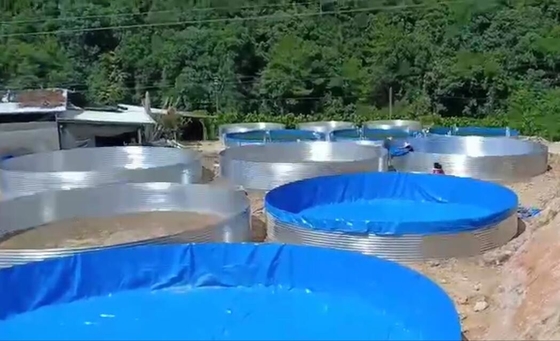 가연판 수족관 가연판 수족관 50000 리터