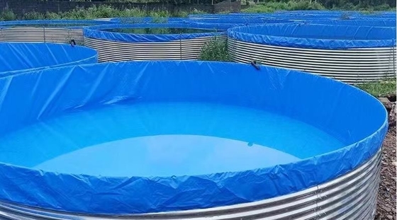고밀도 가연 판 텐포인 물고기 탱크 5M D 1.45M H