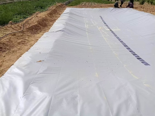 PVC 텐포인 접이식 농업용 비수 수집 방광