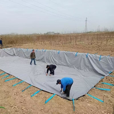 PVC 텐포인 접이식 농업용 비수 수집 방광