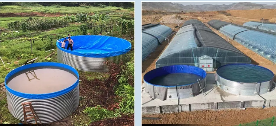 Rain Collection Agricultural Water Storage Tank for Efficient Irrigation Solution