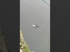 낚시 루어 미끼 풀 수영 레이어 가짜 미끼 바다 및 민물