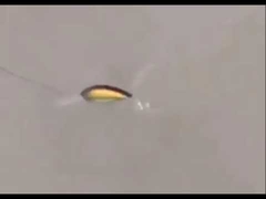 플라스틱 먹이 새 바위 지방 연어 먹이 바다 낚시 단단한 먹이