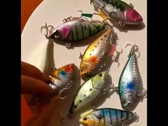 플라스틱 먹이 바다 낚시 레이저 바이오닉 낚시 먹이