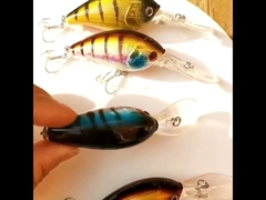 플라스틱 유인물 넓은 혀의 수어 바다 낚시 먹이