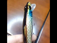 플라스틱 유인물 바다 낚시 멀리 던지기 어려운 먹이