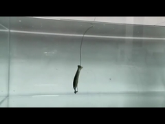 PVC 미꾸라지 소프트 루어 실리콘 가짜 소프트 미끼 낚시 루어