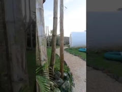 호텔 방 야외 집 팽창형 거품 텐트